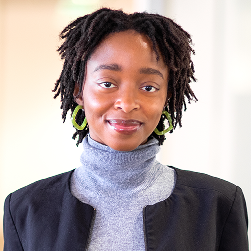 Chinelo N. Ikem image