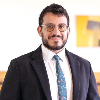 Amir A. Soleimanpour image